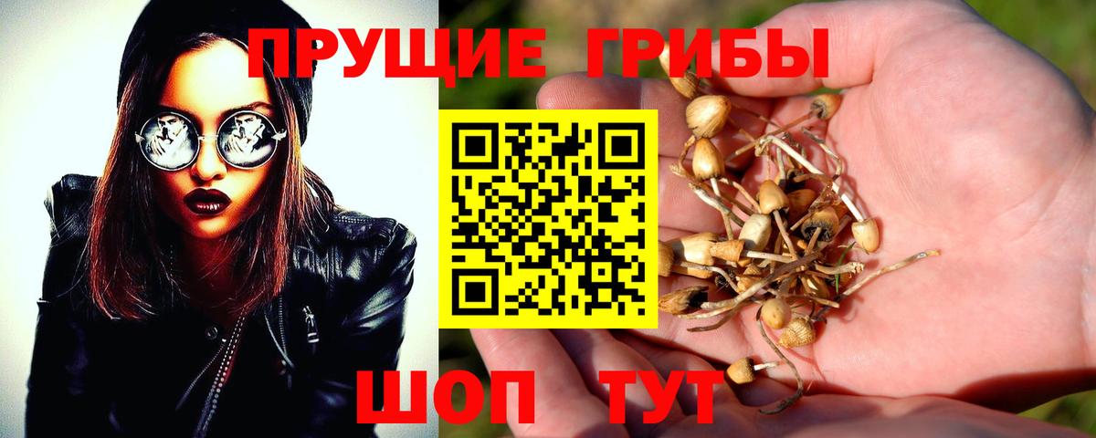 Верхняя Пышма  Галлюциногенные грибы мухоморы  Псилоцибиновые грибы мухоморы  Вход с VPN 