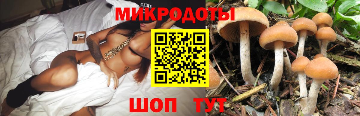 Псилоцибиновые грибы Magic Shrooms Верхняя Пышма